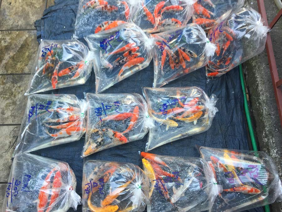 by eattravelandmore by eattravelandmore