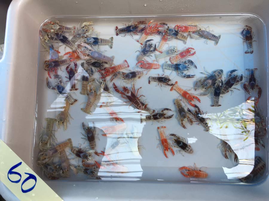 by eattravelandmore by eattravelandmore