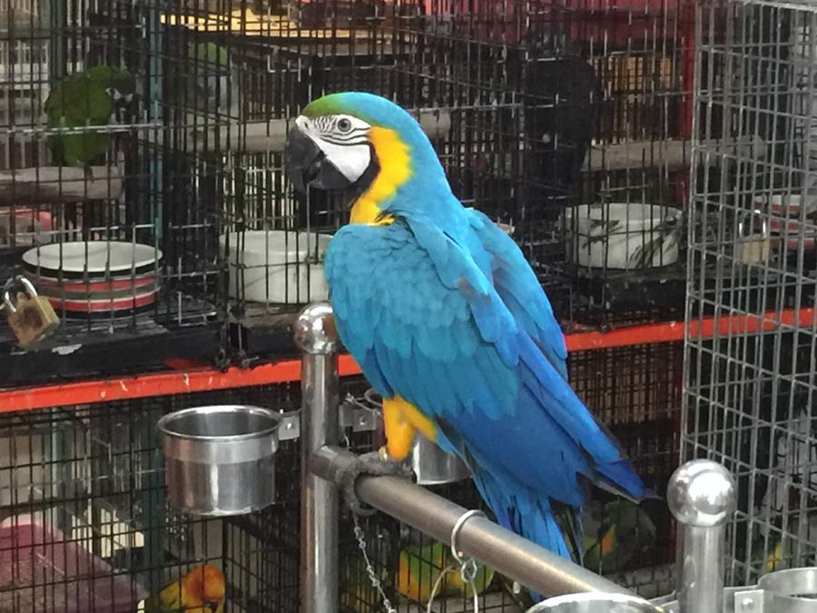 by eattravelandmore by eattravelandmore