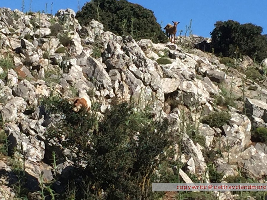 Weg auf die Lasithi Hochebene