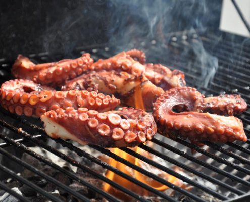 Octopus